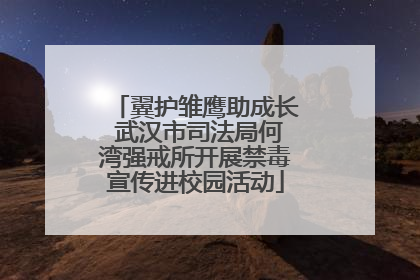 翼护雏鹰助成长 武汉市司法局何湾强戒所开展禁毒宣传进校园活动
