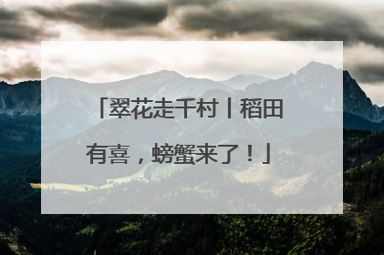 翠花走千村丨稻田有喜，螃蟹来了！