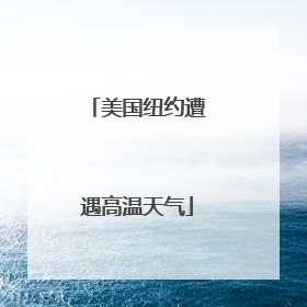美国纽约遭遇高温天气