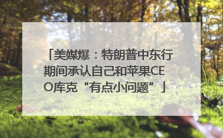 美媒爆：特朗普中东行期间承认自己和苹果CEO库克“有点小问题”