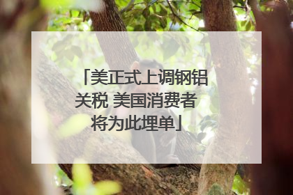 美正式上调钢铝关税 美国消费者将为此埋单