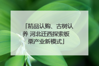 精品认购、古树认养 河北迁西探索板栗产业新模式