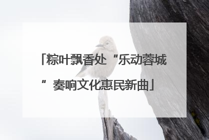 粽叶飘香处“乐动蓉城”奏响文化惠民新曲