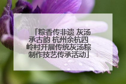 粽香传非遗 灰汤承古韵 杭州余杭四岭村开展传统灰汤粽制作技艺传承活动