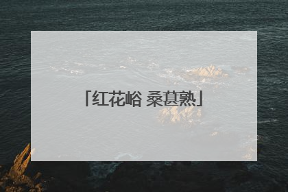 红花峪 桑葚熟