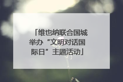维也纳联合国城举办“文明对话国际日”主题活动