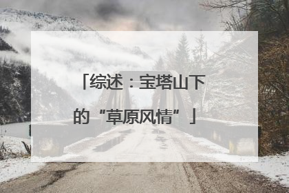 综述：宝塔山下的“草原风情”