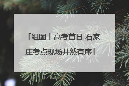 组图丨高考首日 石家庄考点现场井然有序