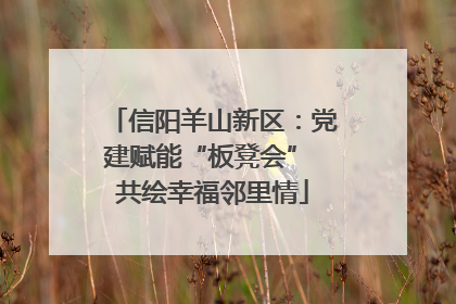 信阳羊山新区：党建赋能“板凳会” 共绘幸福邻里情