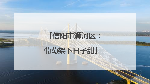 信阳市浉河区：葡萄架下日子甜