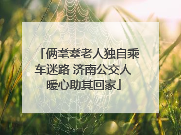 俩耄耋老人独自乘车迷路 济南公交人暖心助其回家