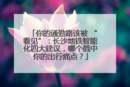 你的通勤路该被 “看见”：长沙地铁智能化四大建议，哪个戳中你的出行痛点？
