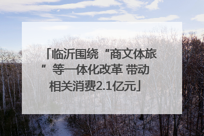 临沂围绕“商文体旅”等一体化改革 带动相关消费2.1亿元