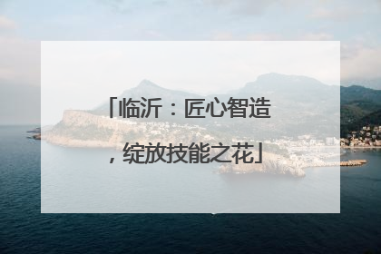 临沂：匠心智造，绽放技能之花