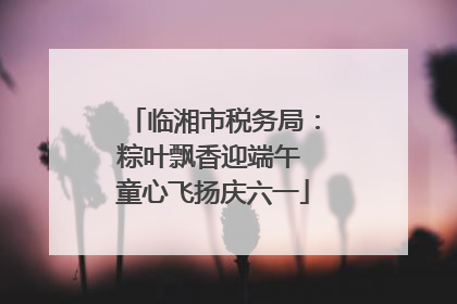 临湘市税务局：粽叶飘香迎端午 童心飞扬庆六一