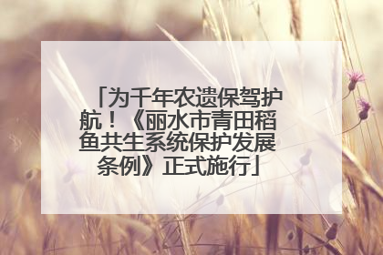 为千年农遗保驾护航！《丽水市青田稻鱼共生系统保护发展条例》正式施行