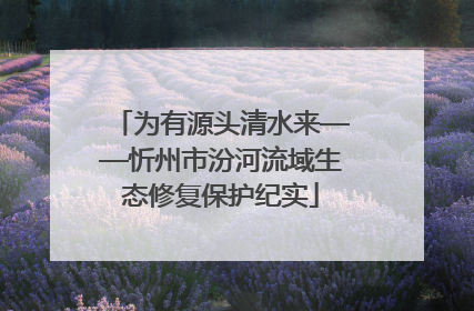 为有源头清水来——忻州市汾河流域生态修复保护纪实