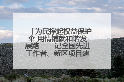 为民撑起权益保护伞 用情铺就和谐发展路——记全国先进工作者、新区项目建设中心干部卢小勇