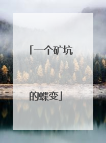 一个矿坑的蝶变