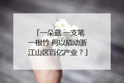 一朵菇 一支笔 一根竹 何以撬动浙江山区百亿产业？