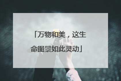 万物和美，这生命图景如此灵动