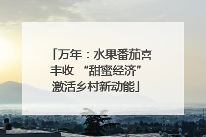 万年：水果番茄喜丰收 “甜蜜经济”激活乡村新动能