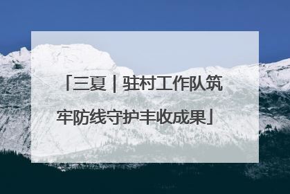 三夏｜驻村工作队筑牢防线守护丰收成果