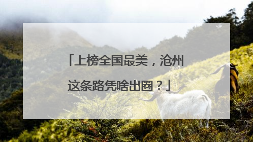 上榜全国最美，沧州这条路凭啥出圈？