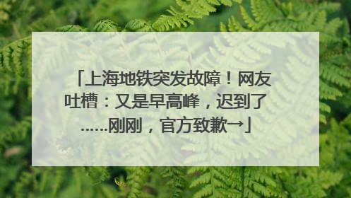 上海地铁突发故障！网友吐槽：又是早高峰，迟到了……刚刚，官方致歉→