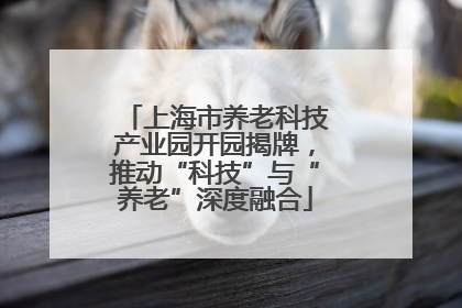 上海市养老科技产业园开园揭牌，推动“科技”与“养老”深度融合
