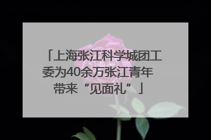 上海张江科学城团工委为40余万张江青年带来“见面礼”
