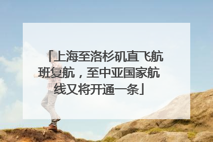 上海至洛杉矶直飞航班复航，至中亚国家航线又将开通一条