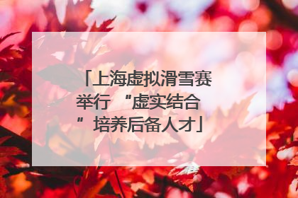 上海虚拟滑雪赛举行 “虚实结合”培养后备人才