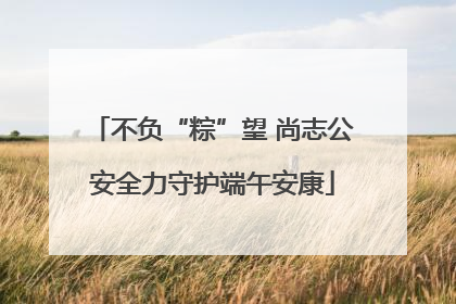 不负“粽”望 尚志公安全力守护端午安康