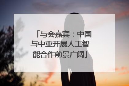 与会嘉宾：中国与中亚开展人工智能合作前景广阔