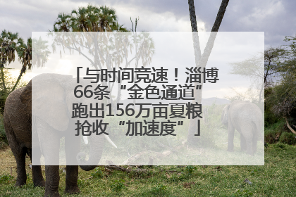 与时间竞速！淄博66条“金色通道”跑出156万亩夏粮抢收“加速度”