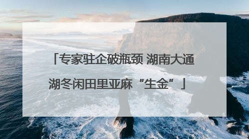 专家驻企破瓶颈 湖南大通湖冬闲田里亚麻“生金”