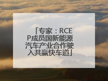 专家：RCEP成员国新能源汽车产业合作驶入共赢快车道