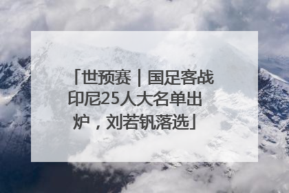 世预赛｜国足客战印尼25人大名单出炉，刘若钒落选