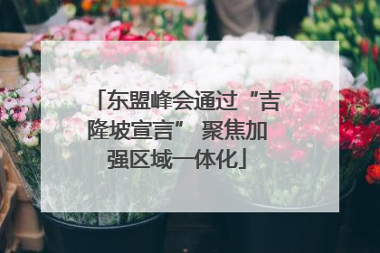 东盟峰会通过“吉隆坡宣言” 聚焦加强区域一体化