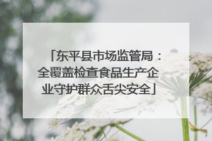 东平县市场监管局：全覆盖检查食品生产企业守护群众舌尖安全