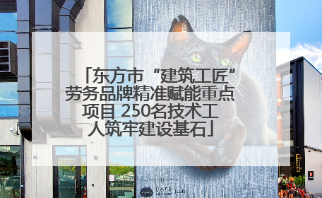 东方市“建筑工匠”劳务品牌精准赋能重点项目 250名技术工人筑牢建设基石