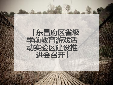 东昌府区省级学前教育游戏活动实验区建设推进会召开