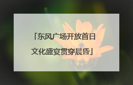 东风广场开放首日 文化盛宴贯穿晨昏
