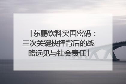 东鹏饮料突围密码：三次关键抉择背后的战略远见与社会责任
