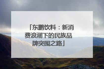 东鹏饮料：新消费浪潮下的民族品牌突围之路