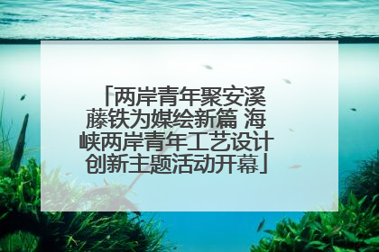 两岸青年聚安溪 藤铁为媒绘新篇 海峡两岸青年工艺设计创新主题活动开幕
