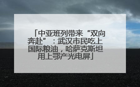 中亚班列带来“双向奔赴”：武汉市民吃上国际粮油，哈萨克斯坦用上鄂产光电屏