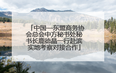 中国—东盟商务协会总会中方秘书处秘书长鹿德晶一行赴滨实地考察对接合作