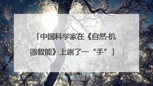 中国科学家在《自然·机器智能》上露了一“手”